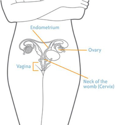 cervical-aylesburyclinic